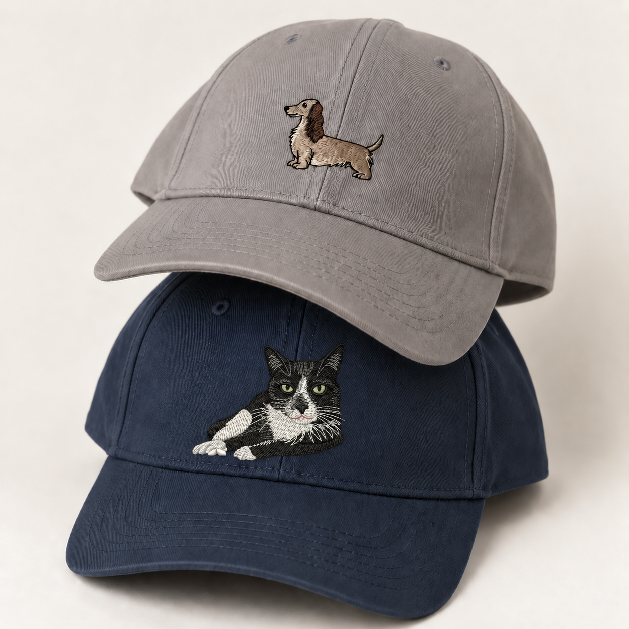 Cats & Dogs